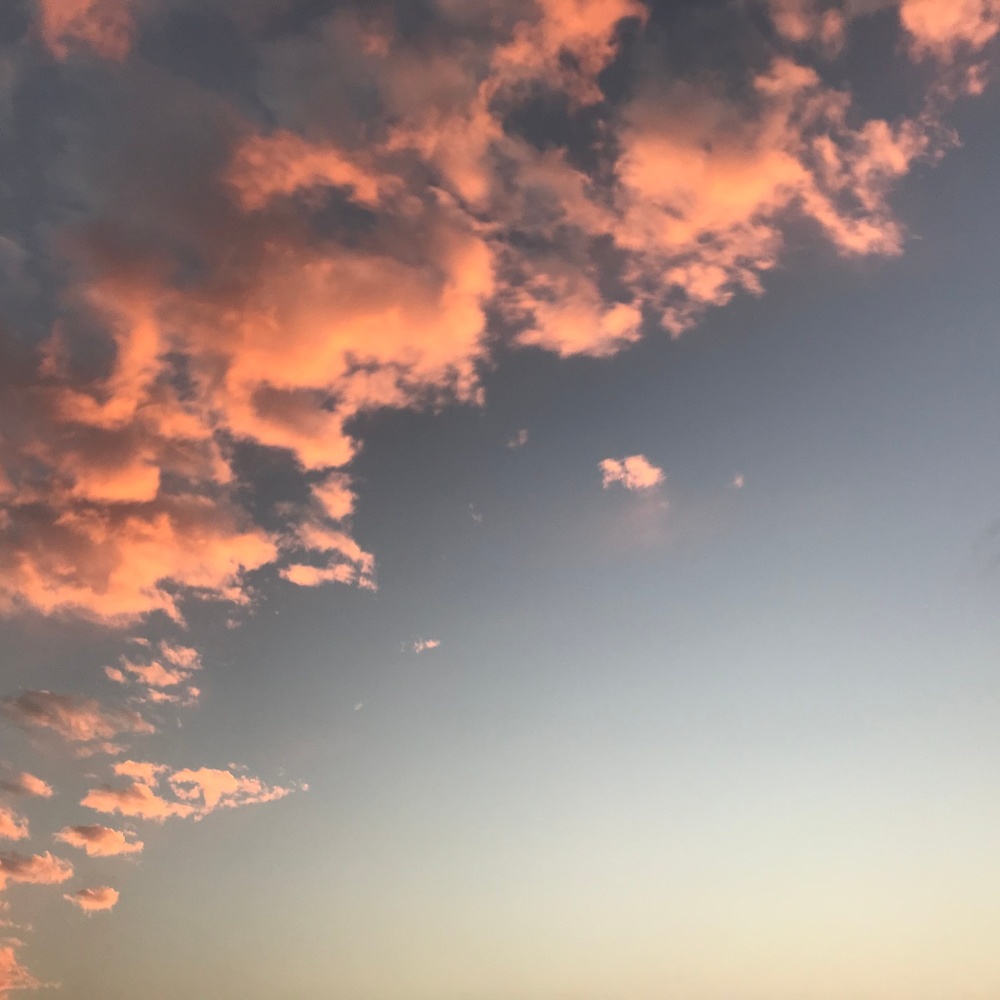 Meet your Posher, Addie